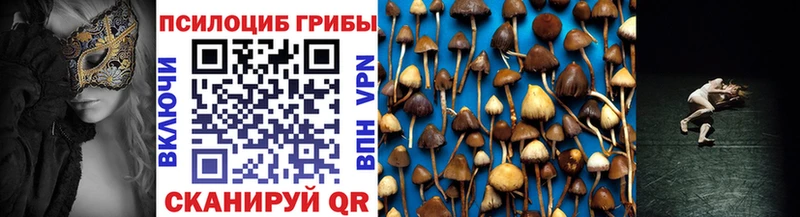 Галлюциногенные грибы Magic Shrooms  hydra ТОР  Судогда 