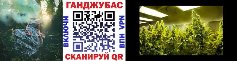 Марихуана планчик  магазин продажи наркотиков  Судогда 